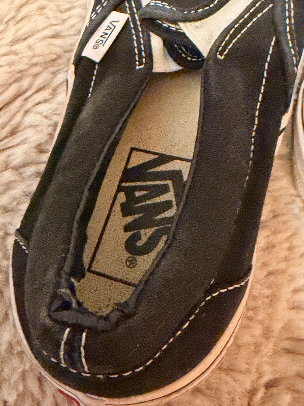 Vans - Picture 4 of 7